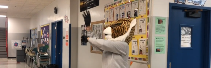 person in school tiger costume